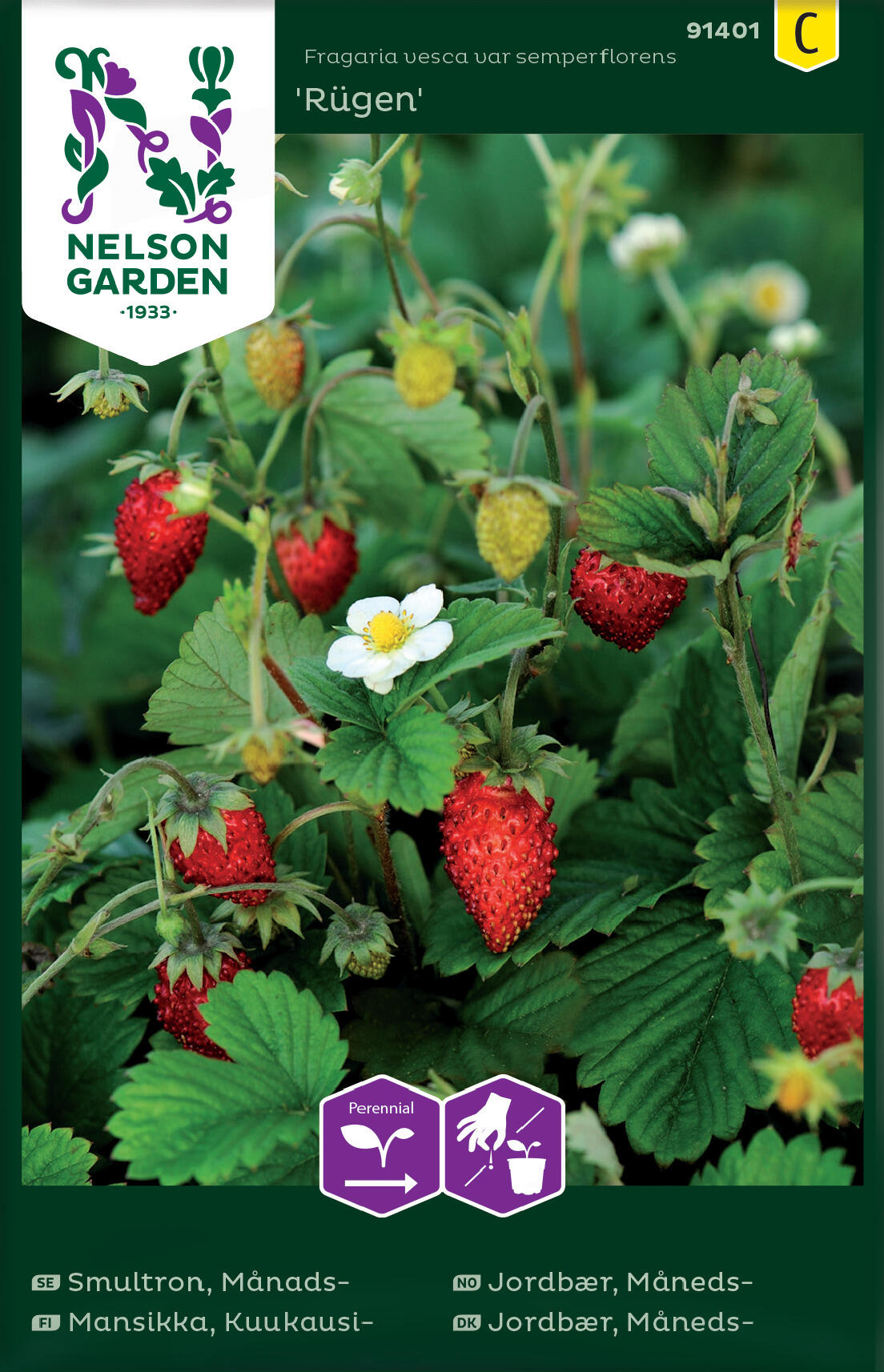 Månedsjordbær 'Rügen'